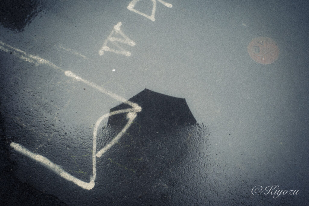 水溜りに映り込む傘のフォルム