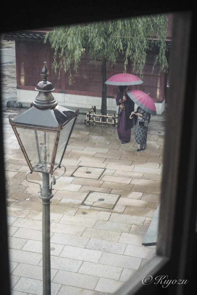 和傘の美しい写真