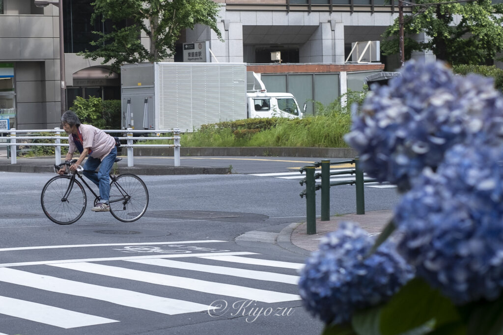 紫陽花と自転車のスナップ写真