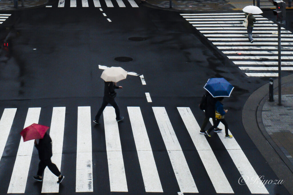 ストリートスナップの作例（複数の傘と横断歩道）