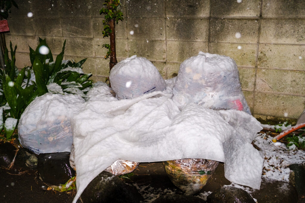 雪とゴミ捨て場