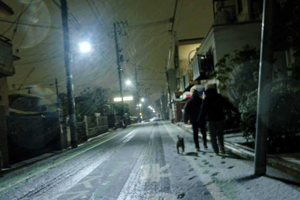 雪の中、犬の散歩をする人々